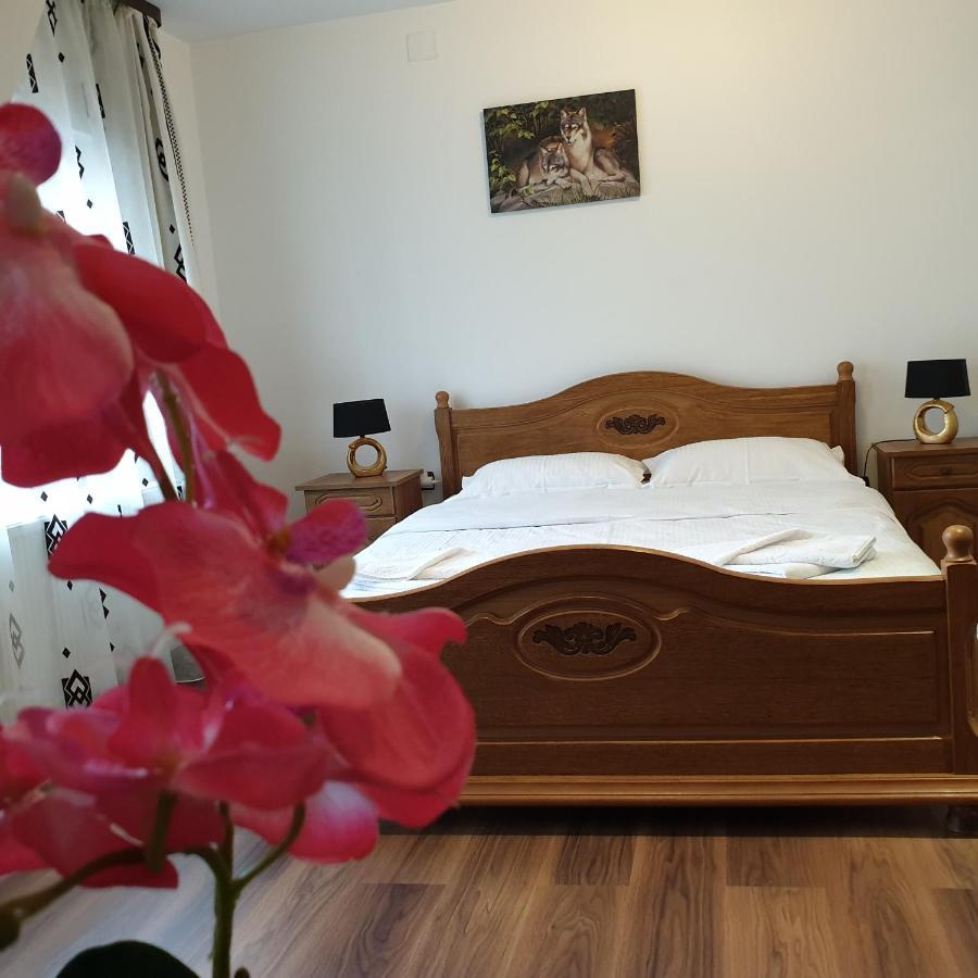 Отель Casa Poenaru Кымпулунг-Молдовенеск Экстерьер фото
