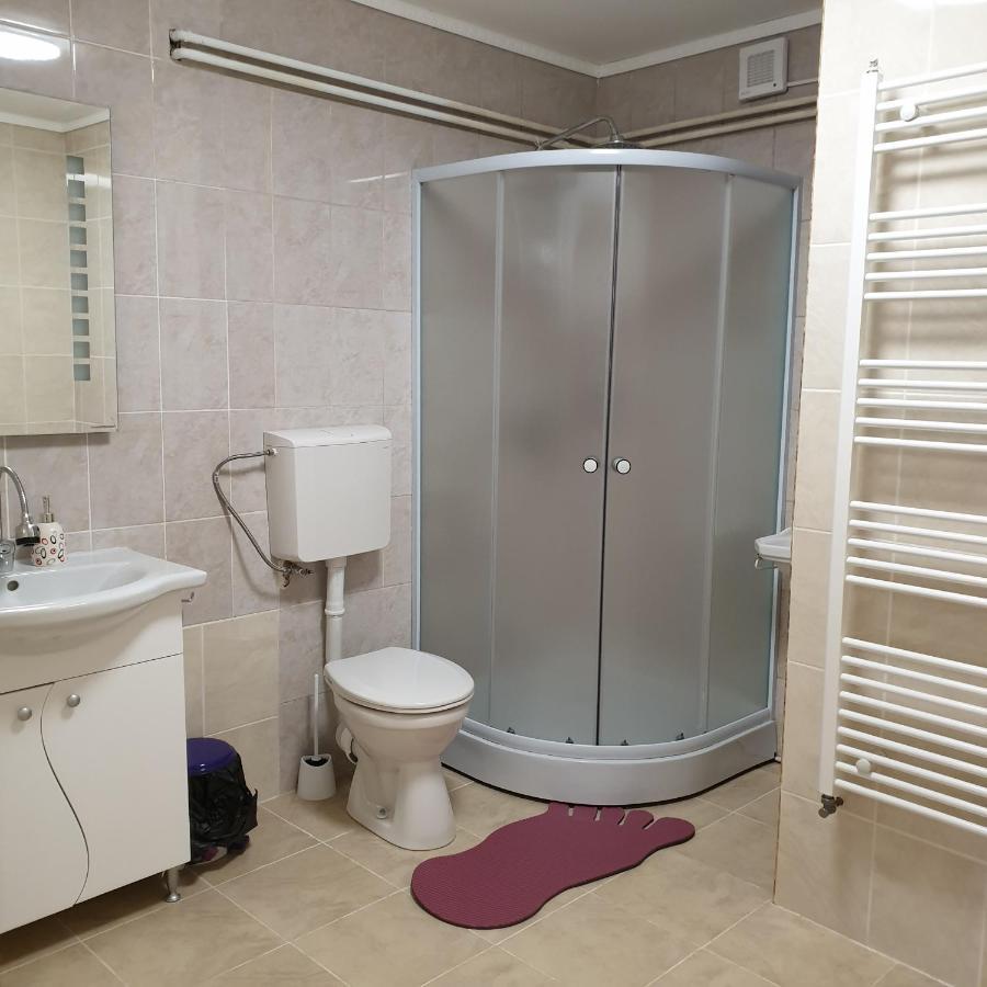 Отель Casa Poenaru Кымпулунг-Молдовенеск Экстерьер фото