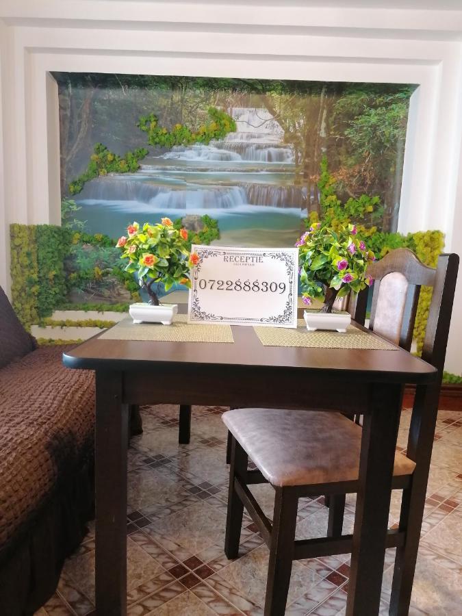 Отель Casa Poenaru Кымпулунг-Молдовенеск Экстерьер фото